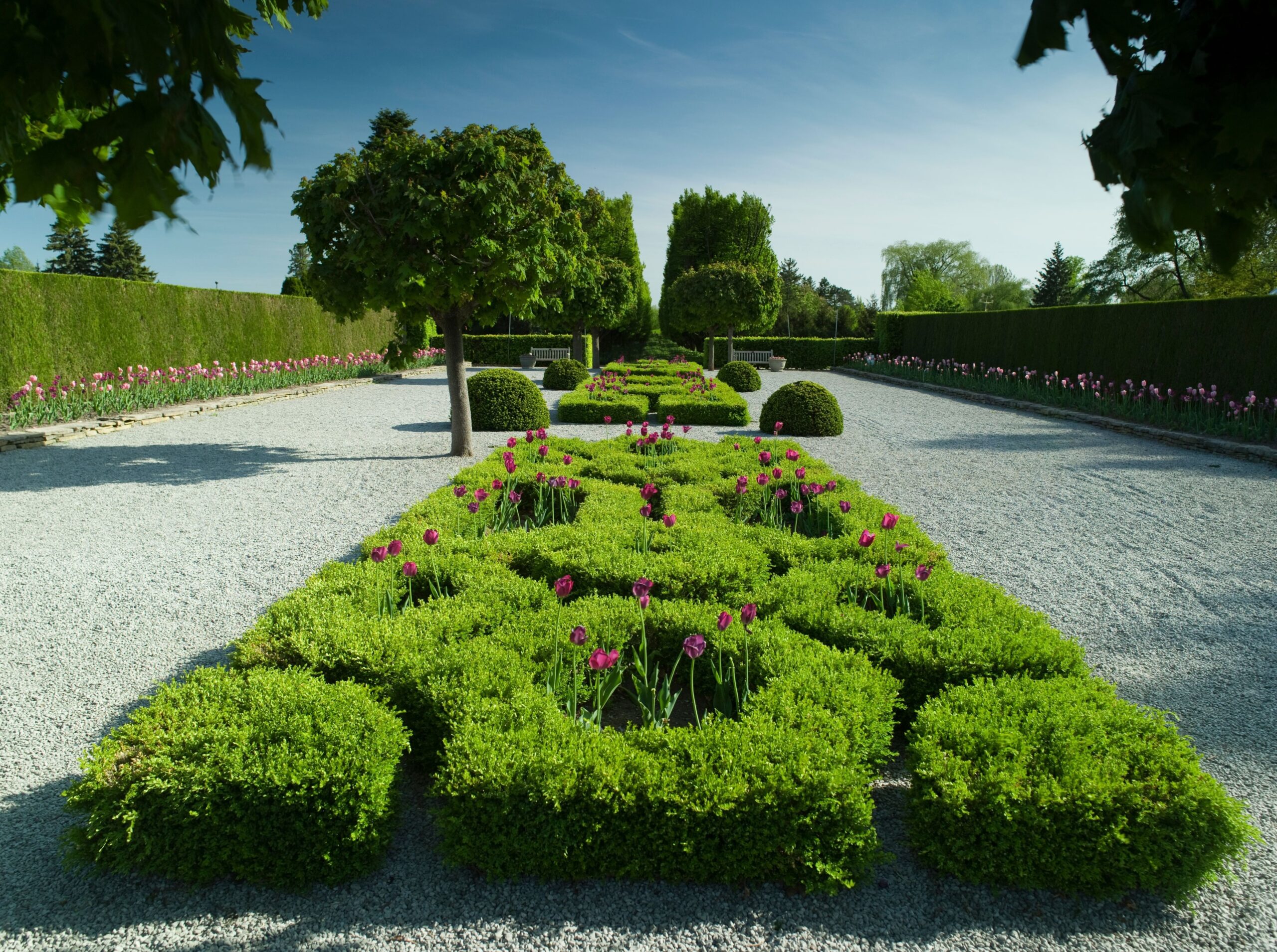 Reseña de cliente satisfecho sobre servicios de jardinería en Sevilla