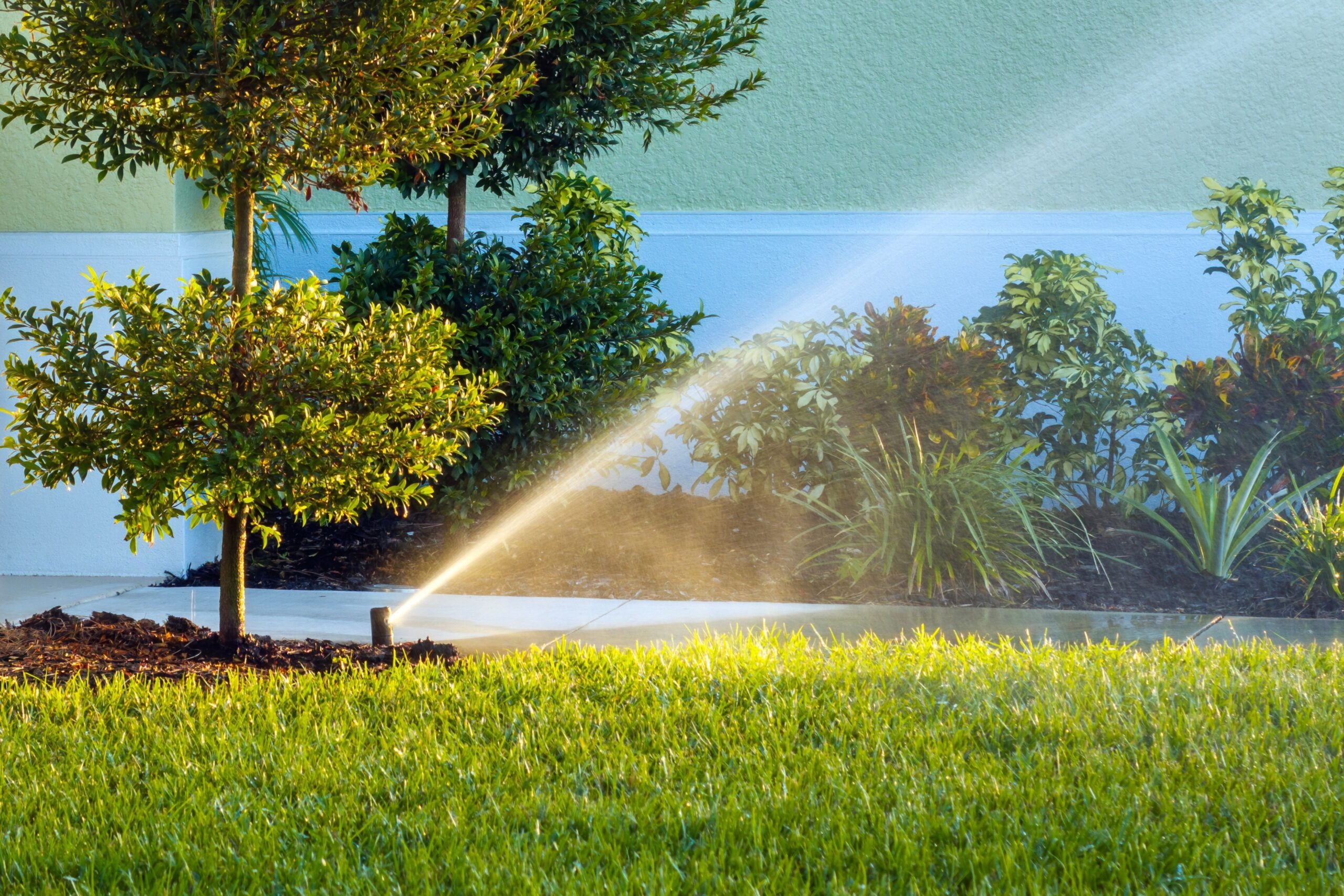 Empresa de jardinería confiable con herramientas y métodos modernos